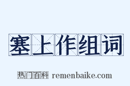 塞上作组词是什么意思的图片